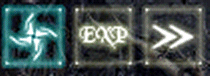 exp.gif